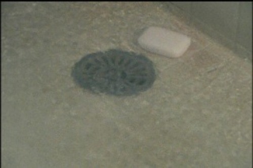 PDVD_002.jpg