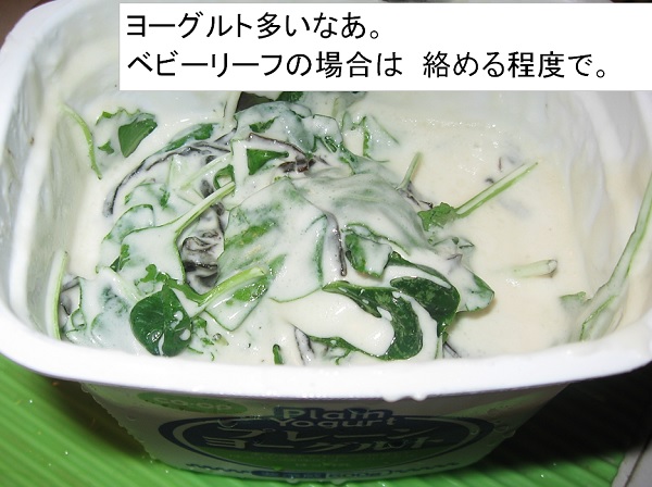朝ごはん3_ヨーグルト漬け.jpg
