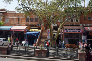 インド801.jpg