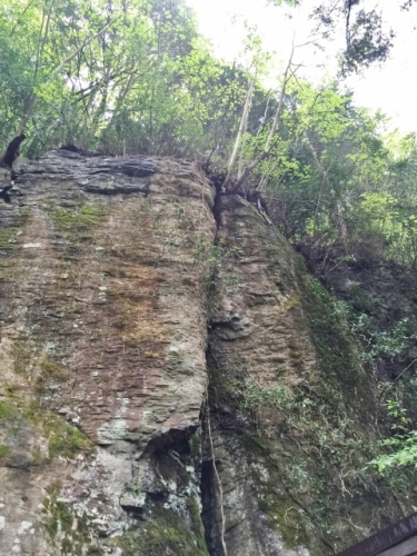 IMG_6675 (480x640) (2).jpg