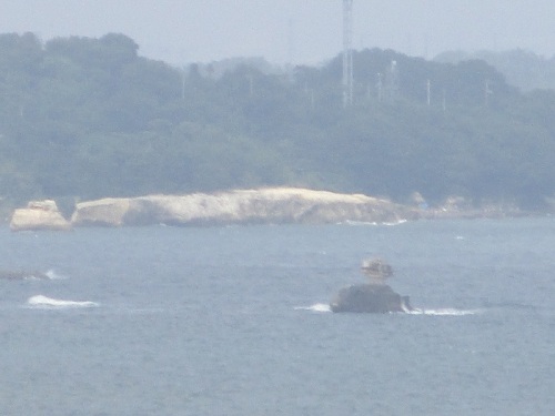 松島　仁王島