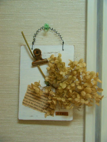 DSCF8385.jpg