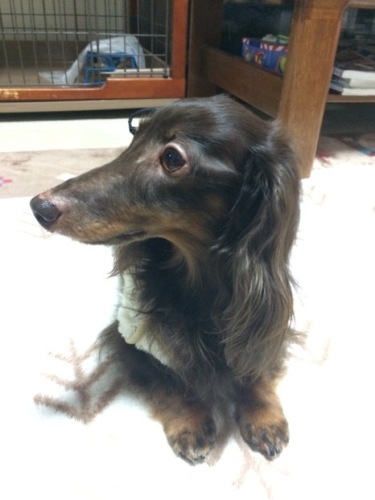 201605172111_5032_iphone.jpg