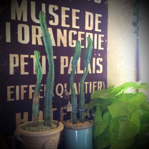 rblog-20141217103951-02.jpg