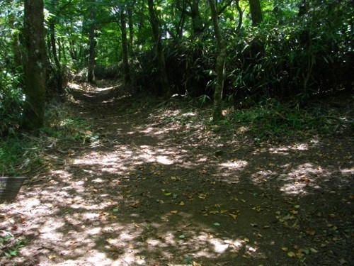 湯坂路登山道 (2) (500x375).jpg