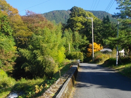 塔ノ岳蓑毛春岳沢 (1) (500x375).jpg