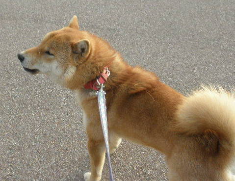 画像 5285(V.2012_03_20__10_42_29).jpg