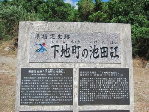 池田矼 .JPG