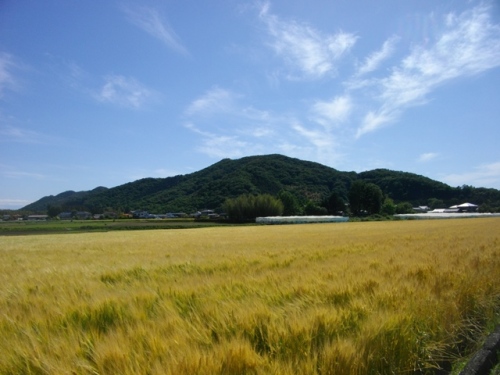 三毳山遠景.JPG