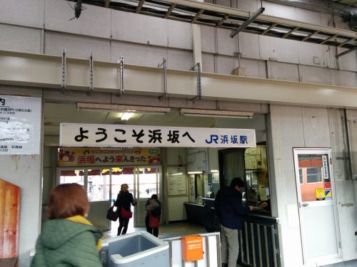 IMG_20151229_115420.jpg