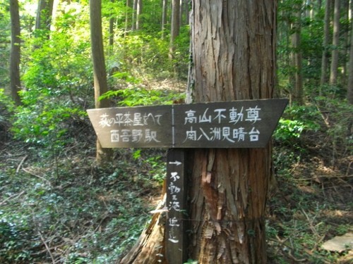 関八州見晴台登山道 (1) (500x375).jpg