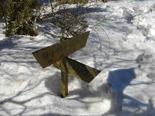 箱根外輪山明神ヶ岳 (17) (500x375).jpg