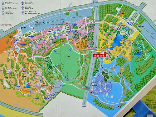 ひたち海浜公園22.jpg