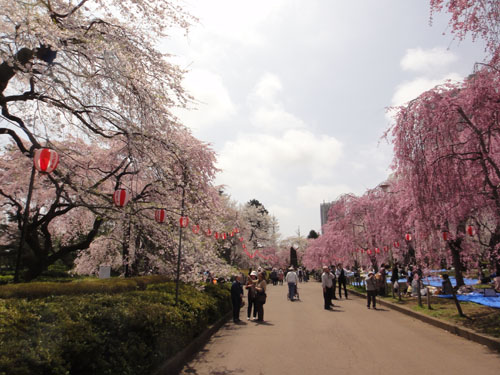 榴岡33.jpg