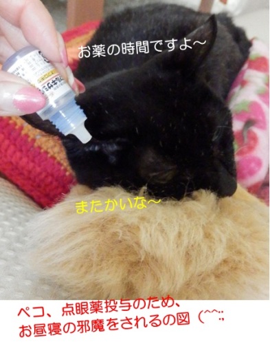20150627_2.jpg
