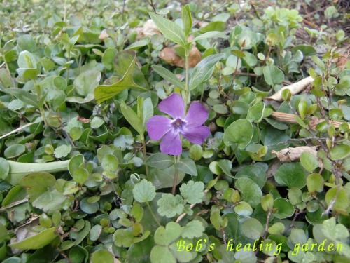 CIMG0619.JPG
