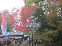 IMG_0098_R.JPG