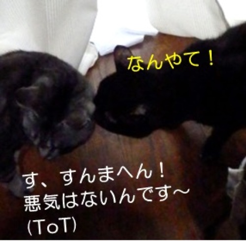20140824_5.jpg