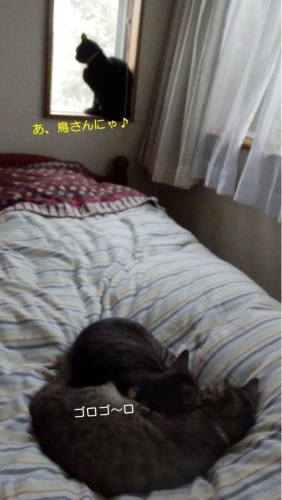 20160530_2.jpg