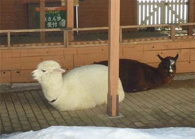 那須37.jpg