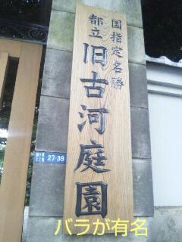 20150905_195517.jpg