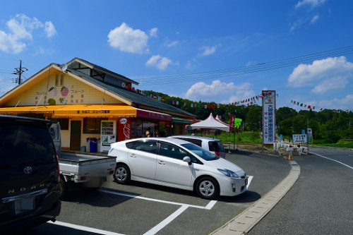 大原観光果樹園 桃狩り 果物狩り (1).jpg