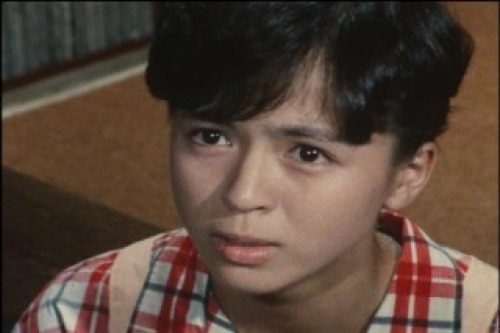 PDVD_078.jpg