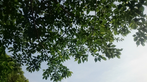 CYMERA_20160530_150733.jpg