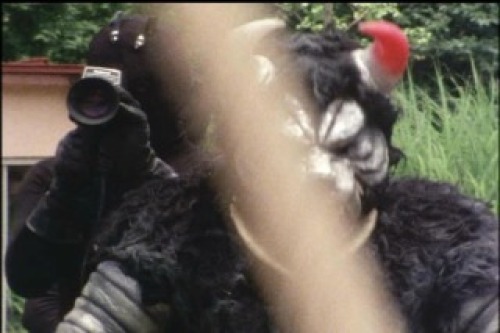 PDVD_018.jpg