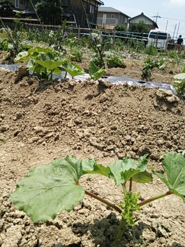 2013-06-17 11.47.21.jpg