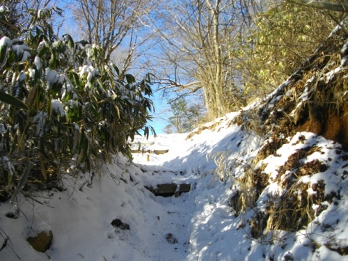 乙女峠登山道 (4).JPG