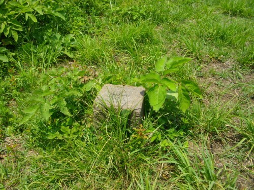 南郷山山頂 (2) (500x375).jpg