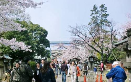2009年02月26日_CIMG6620.JPG