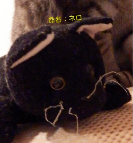 20150122_3.jpg
