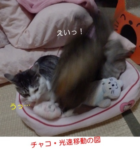 20150306_3.jpg