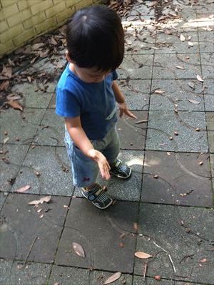 IMG_3389_R.JPG