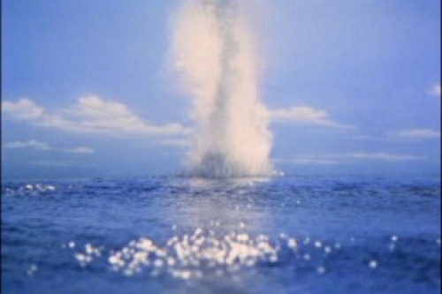 PDVD_051.jpg