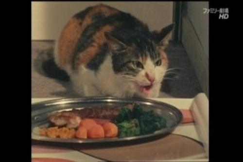 PDVD_009.jpg