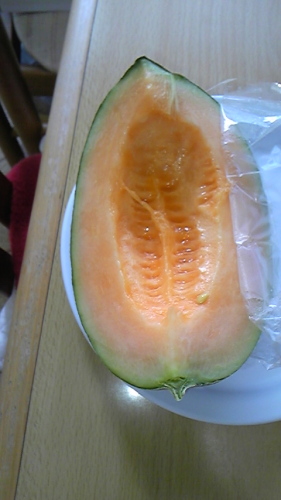 ８月１７日 002.JPG