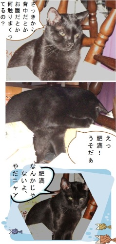 チャン名言＿パパメイアン.jpg