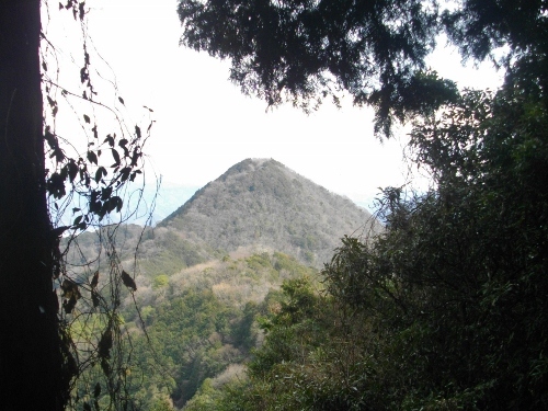 沼津アルプス鷲頭山大平山 (500x375).jpg