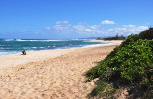 pict-カエナ 3.jpg