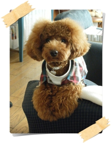DSCF1206.JPG
