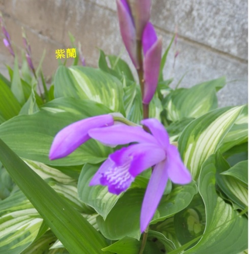 20160503_3.jpg