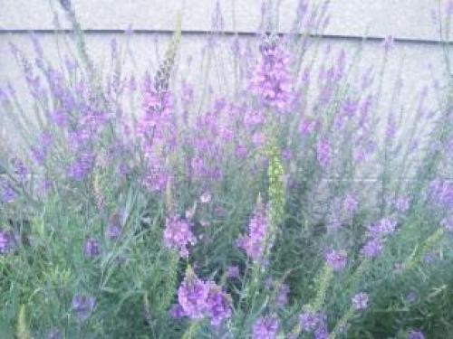 20140706_173113.jpg