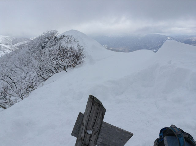 Shiragamon20160106.JPG