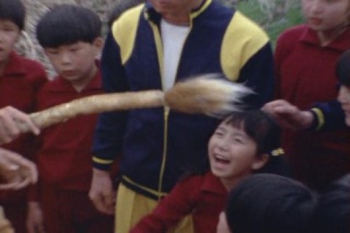 PDVD_005.jpg
