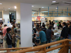 加茂24.jpg