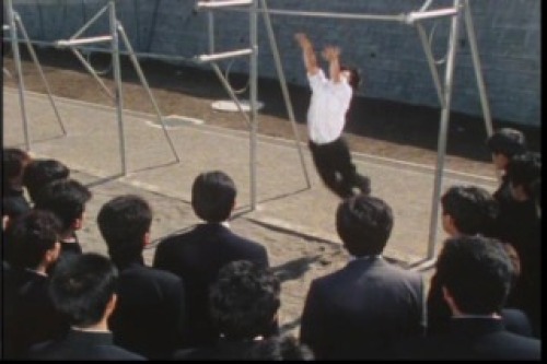PDVD_087.jpg