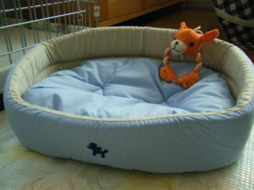 DSCF8023.jpg
